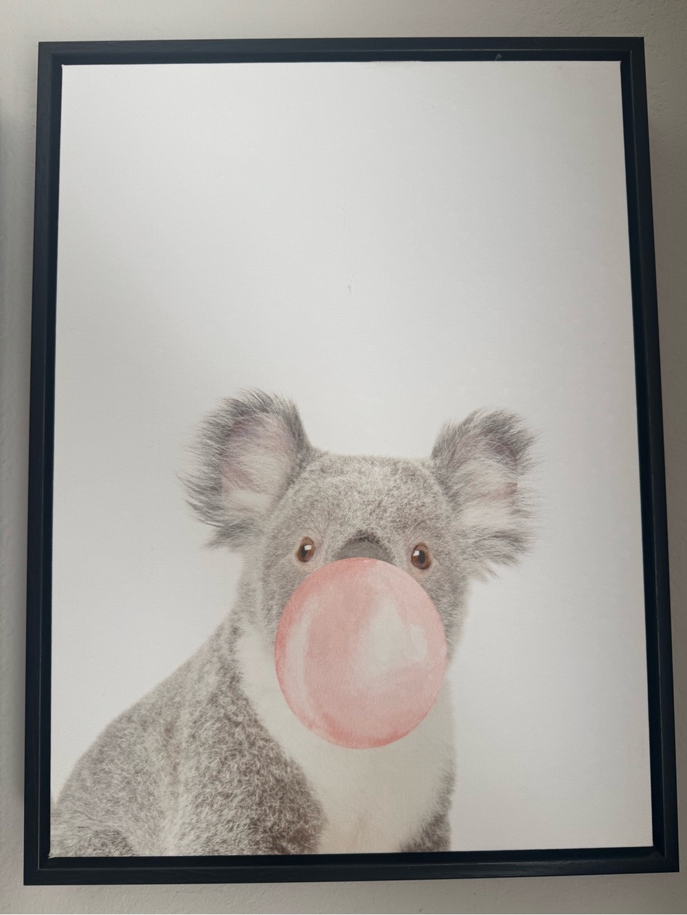 Koala Blowing Bubble Gum Canvas Print Wall Art